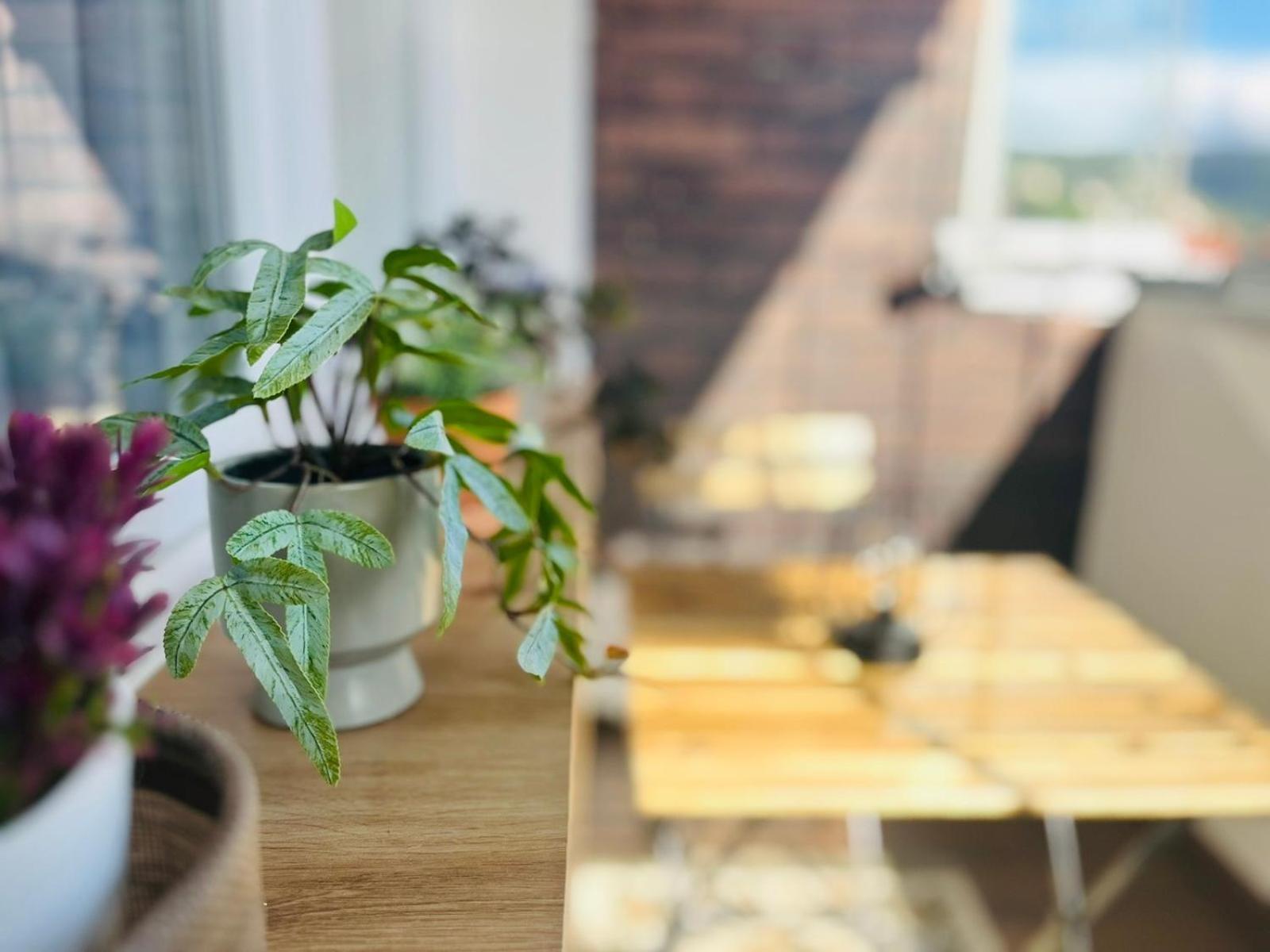 Mak Apartment - Free Parking - Balcony SJJ Eksteriør bilde